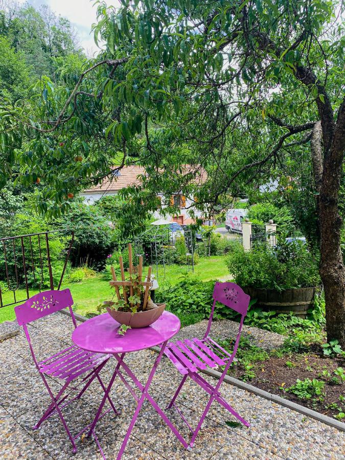 La Araucania, 2 Personnes - Wifi Rombach-le-Franc Kültér fotó