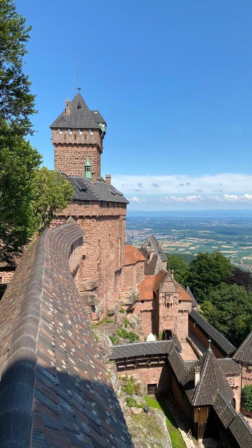 La Araucania, 2 Personnes - Wifi Rombach-le-Franc Kültér fotó